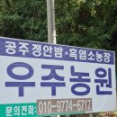 우주농원 | 공주 이색체험추천 아이랑갈만한곳 성인 밤따기체험후기 우주농원