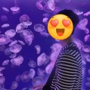 해양공원 공연장 | [여행] 대련 가볼만한 곳 / 라오후탄(노호탄 해양공원) 후기