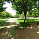 첨단파크골프장 이미지