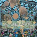 연수꽃식물원 | [송도] 식물원을 연상케 하는 대형카페 포레스트아웃팅스 솔직 후기