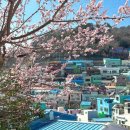 광안4-301 | 부산 2박3일 여행기 ‎໒꒱ ‧₊˚ 뚜벅이의 여행 1일차 | 부산역 ~ 광안리 코스