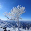 겨울여행 이미지