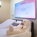 주식회사 펫과의 동행 이미지