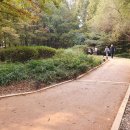 정발산공원 이미지