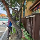 칠칠공사 이미지