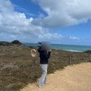 럭키피시 | 신혼여행7,8일차/그레이트오션로드투어 후 피시앤칩스 먹기/멜버른에서 쇼핑하기