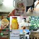 제주삼다알로에 | 청년유기농라이프 1박2일체험단5차후기 1제주물마루학교,제주삼다알로에/ 2.오설록티 뮤지엄&다도체험...