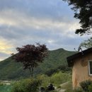 소나무흙집민박 이미지