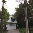 힐링 포레스트 이미지