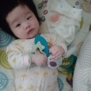 키다리석쇠불고기 이미지