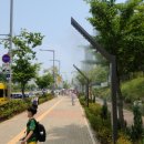 인천영종초등학교 이미지
