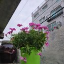 롯데힐24시불한증막사우나 | 책방쿰KOUM