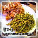 매일 삶아 더 맛있는 족발 , 새콤달콤 미나리무침 모두 일품인 장안동 족발맛집 - 박가족
