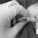 리치동물병원 이미지