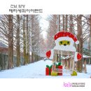 메타세쿼이아랜드 이미지