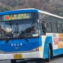 100번주유소 이미지