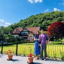 양평수목 | 경기도 양평 가볼만한 곳 두물머리 더그림 세미원 들꽃수목원 스타벅스 더양평DT 카페무르 그린망고...