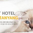 고양이호텔코자냥 이미지