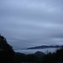 낭만애견 이미지