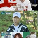 개냥이 세계 이미지