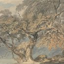 수채화A | 요즘 무더위도 싹 날려버릴 터너(J. M. W. Turner)의 수채화 '거목(A Great Tree)'