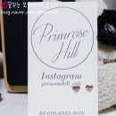 프림로즈힐