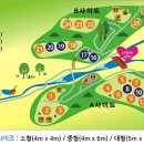 약수골캠프촌 숲속캠핑장 네이버블로그