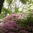 행복동산 Daum카페