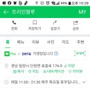 트리인블루