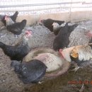 현인농원 이미지