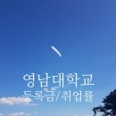 영남대학교 의학전문대학원 | 2025. 영남대학교, 영남대 등록금 순위, 장학금, 취업률, 신입생 경쟁률 순위 현황 !!!