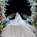 데이데이 이미지