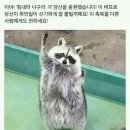 달콩 이미지