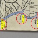 잠실리뽕나무 이미지