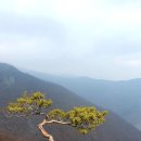 감성시쓰기 이미지