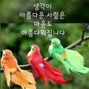 화가 날땐 침묵을 지켜라! 이미지