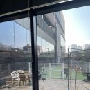 둘리피자 | [인천] 영종도 내돈내산 애견동반카페 <온더플로우> 실내 애견동반 대형카페, 화덕피자 맛집