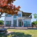 소나무집펜션민박 이미지