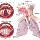 제세현한의원 이미지