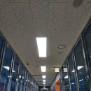 365평화한의원 이미지