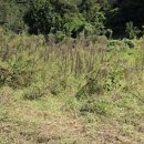 고령농장(2) 이미지