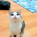 짐 - 파주시 금빛로 24-17 | 짐
