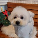 오구오구살롱 이미지