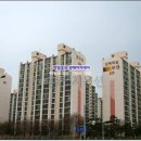 정자365약국 이미지