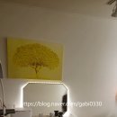 걸 스킨&바디