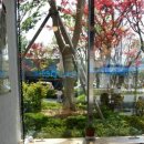 양덕동126 이미지