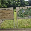 자연가습 이끼 테라리엄 이미지