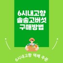 강릉표고버섯농장 농업회사법인 주식회사 | 6시내고향 강릉 솔송고버섯 구매처 연락처 강릉표고버섯농장 택배 주문 정보 총정리