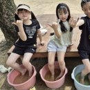 햇살로105번길 티스토리