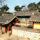 토정 Daum카페